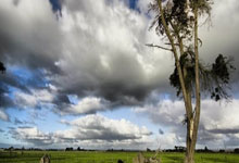 常规赛末段换帅!灰熊成为本赛季第二支在季中换帅的球队.