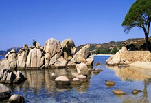 兰德尔26+8比斯利27分 5名球员被驱逐!森林狼大胜活塞.